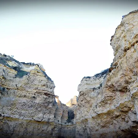 Espacoso Com Excelente Espaco Exterior